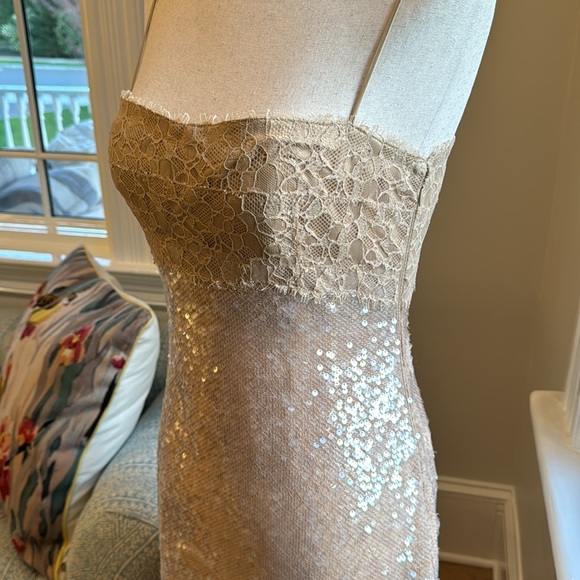 JONATHAN SIMKHAI Ginger Root Valentina Slip Dress - Picture 5 of 7